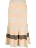 JOSEPH Stripe Animation knitted skirt - Neutrals