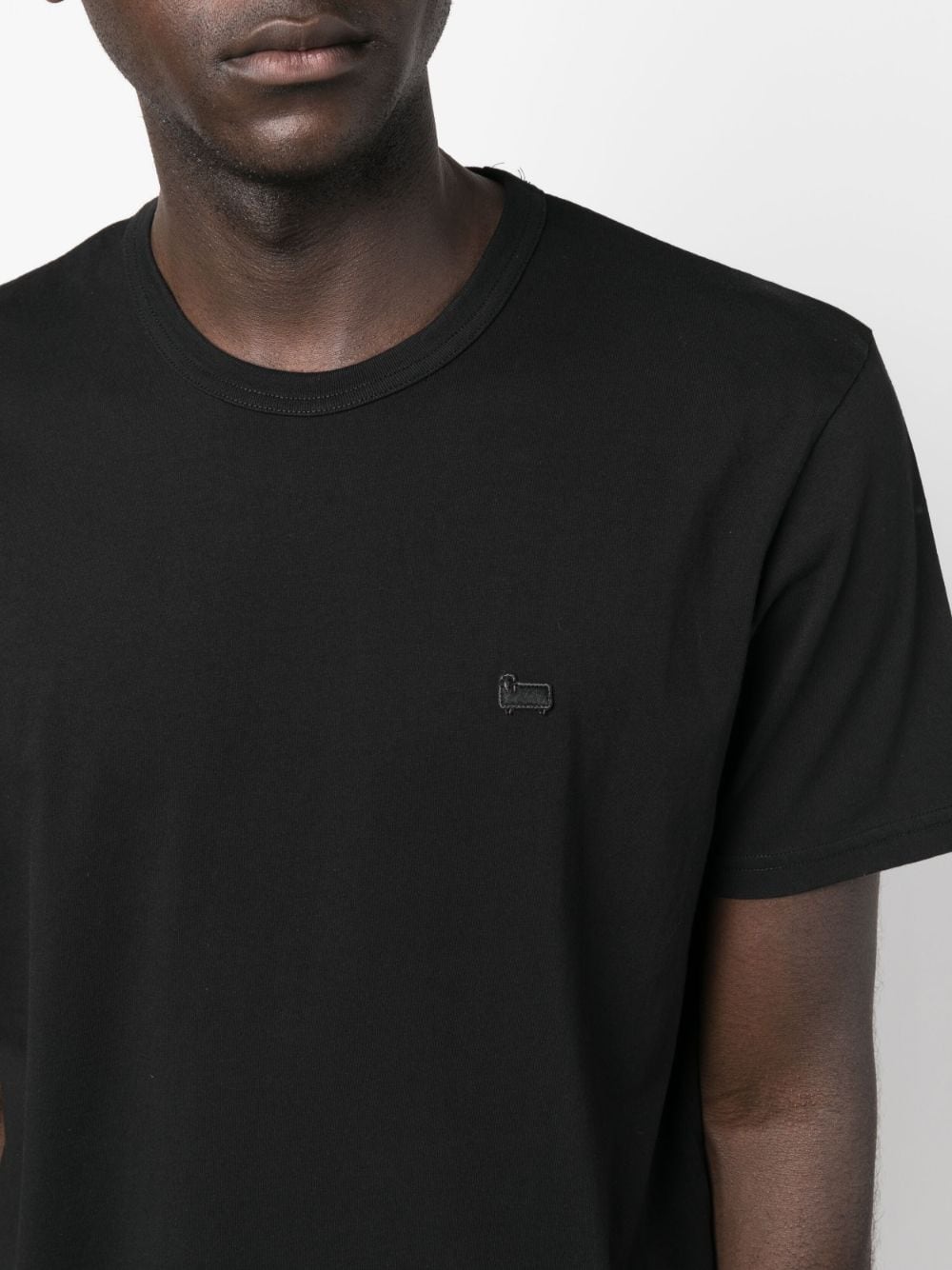 Shop Woolrich Logo-embroidered Short-sleeve Cotton T-shirt In Schwarz