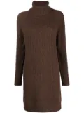 Polo Ralph Lauren roll-neck cable-knit dress - Brown
