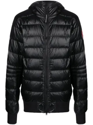 Canada Goose