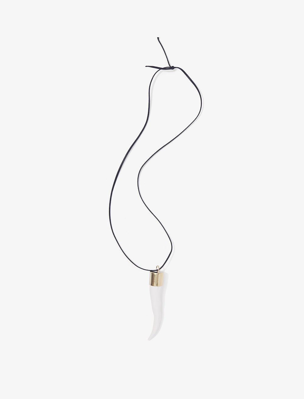 Horn Pendant