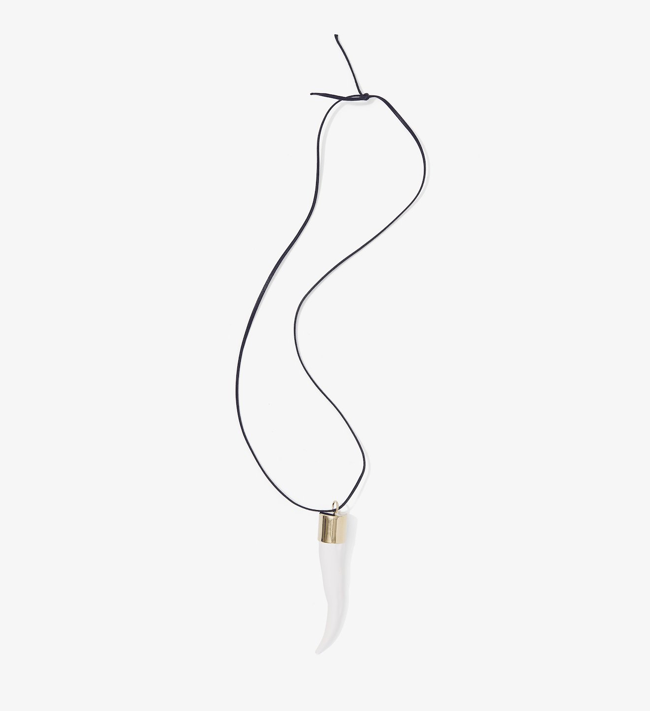 Horn Pendant