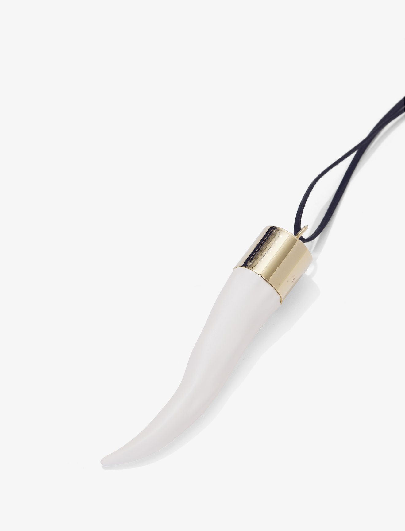 Horn Pendant #2