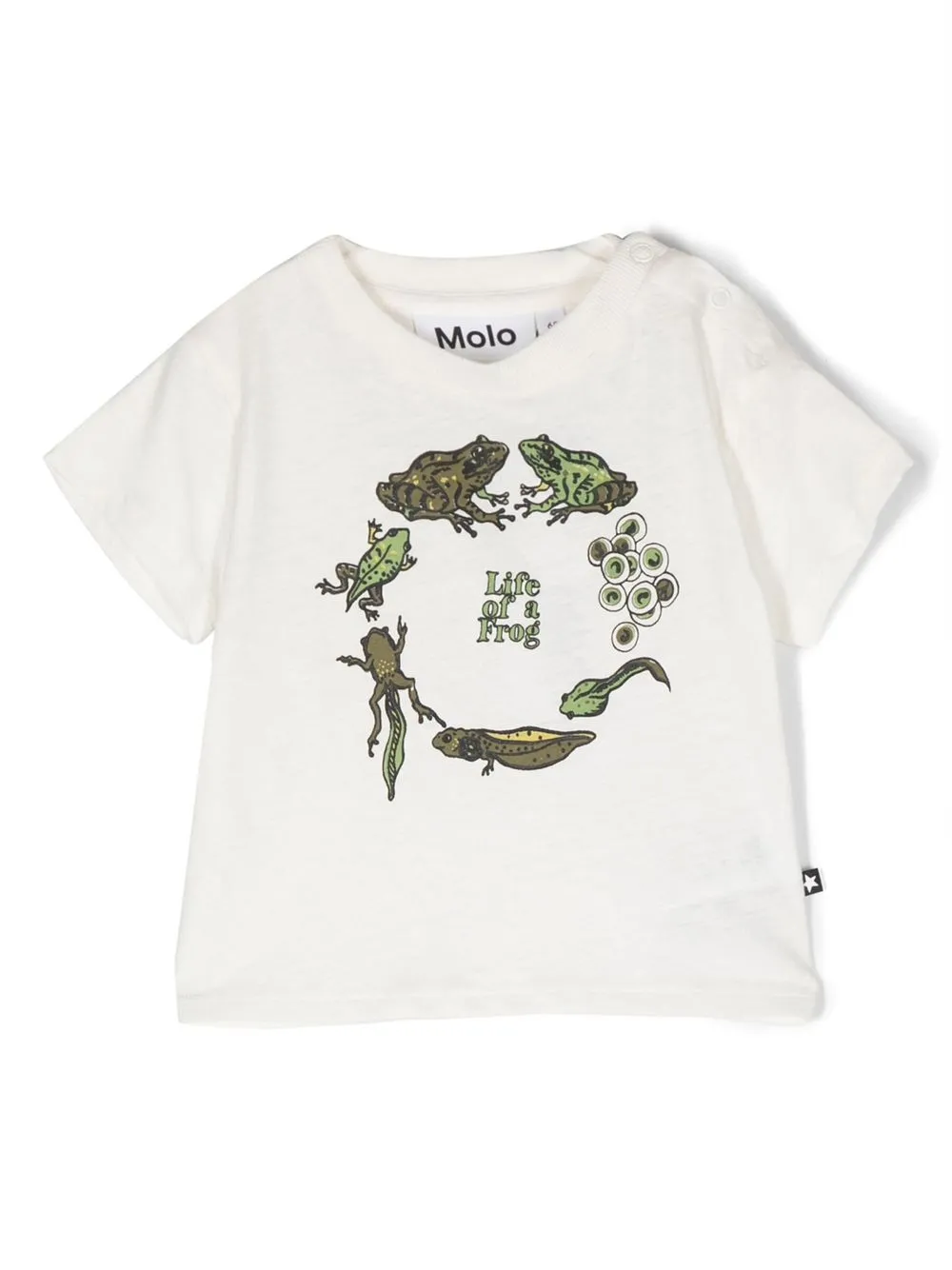 

Molo frog-motif T-shirt - White