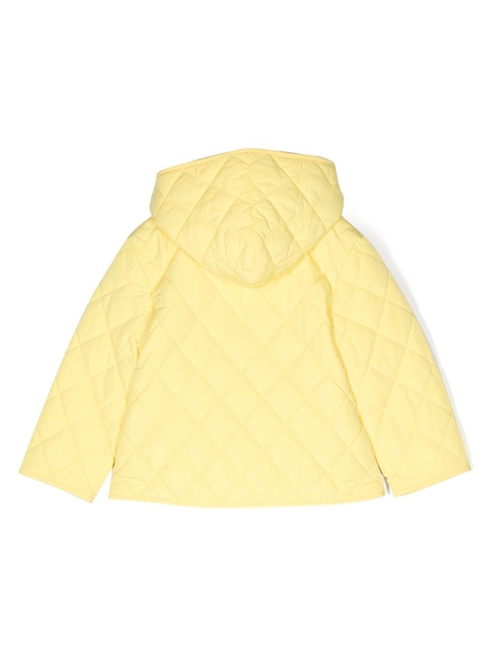 Shop Moschino Teddy Bear Padded Jacket In Yellow