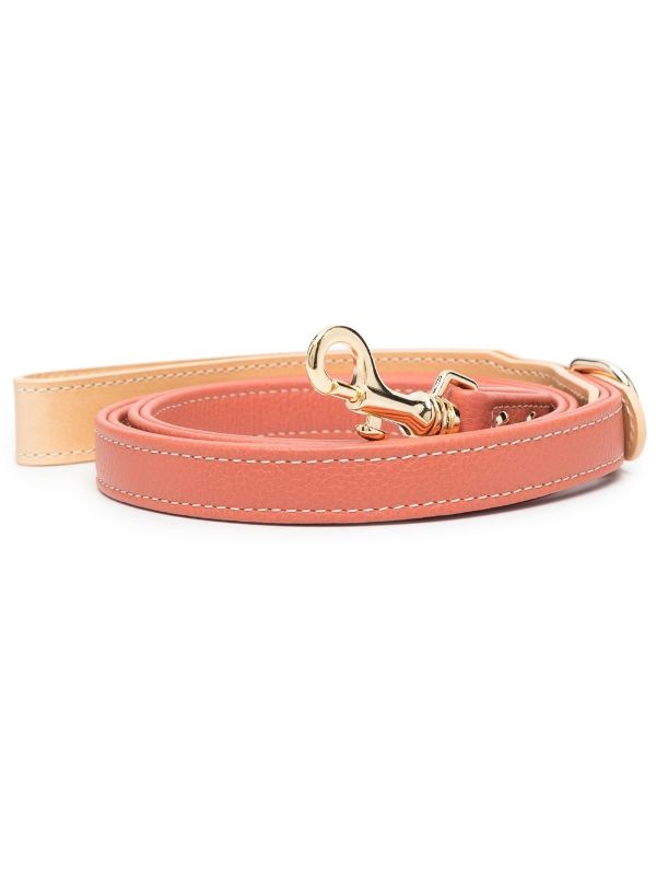 Chewy Vuitton Dog Collar & Lead With Bow