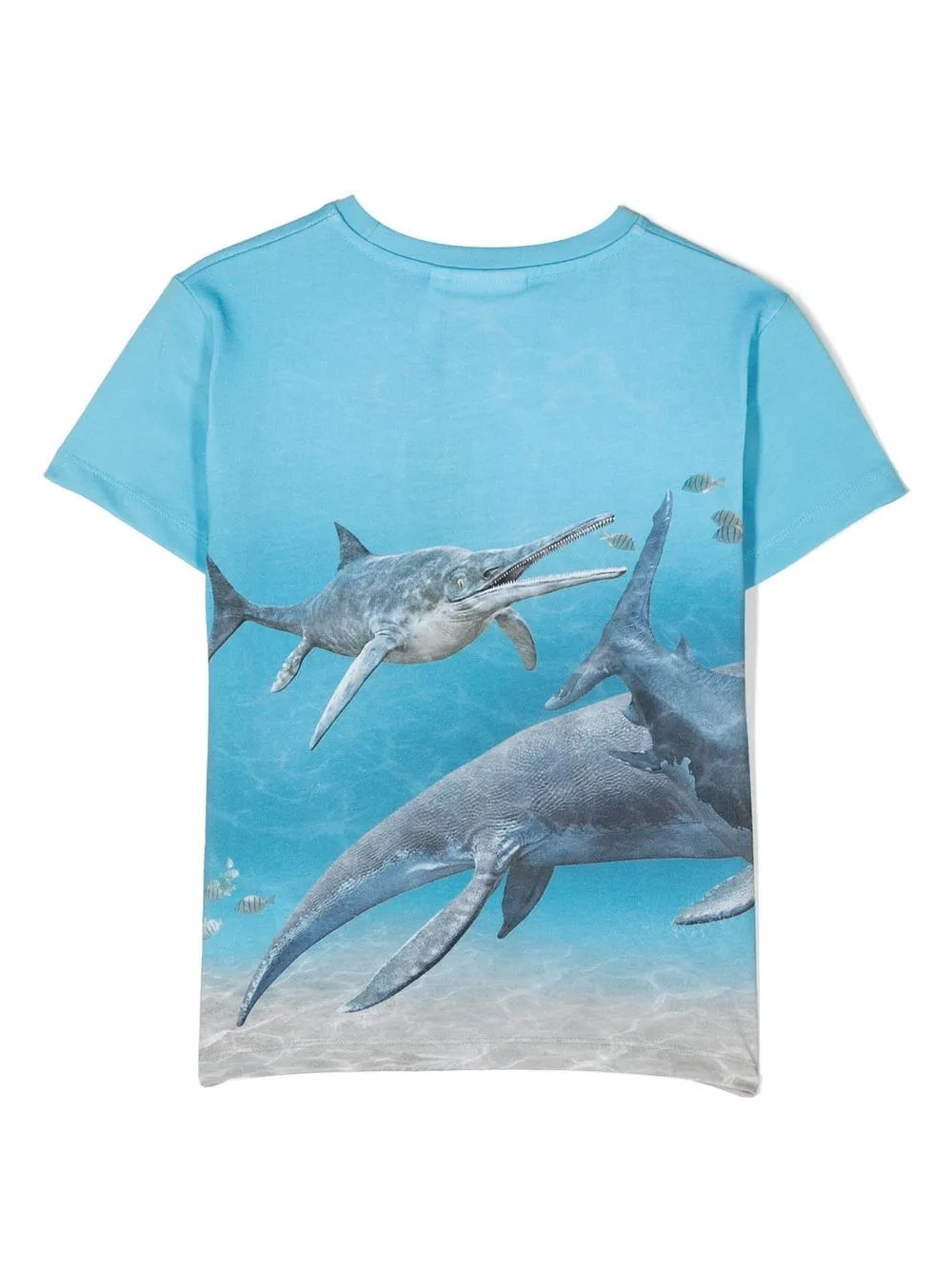 Molo T-shirt met print - Blauw