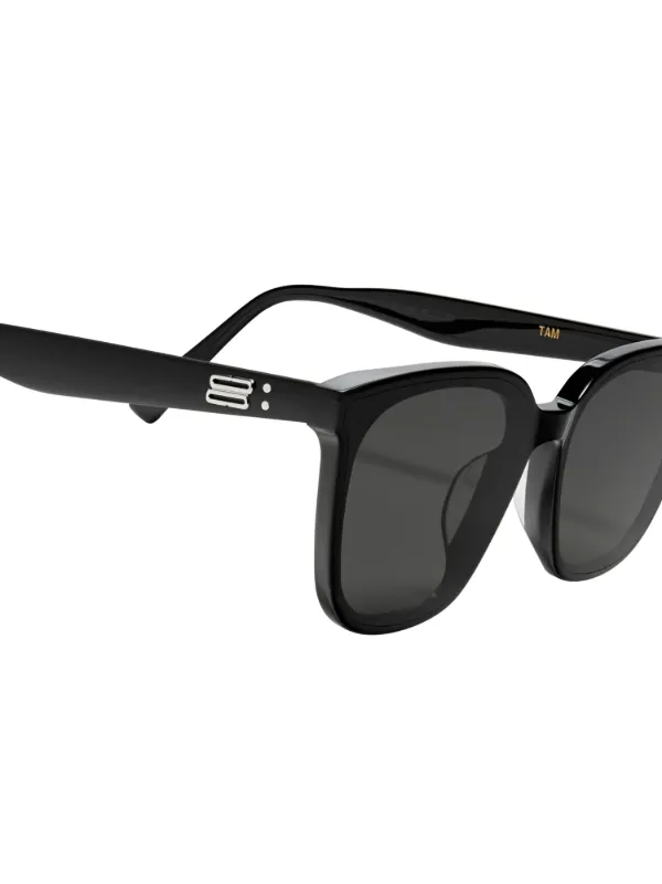 Black 2024 tinted sunglasses