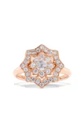 David Morris 18kt rose gold Astra diamond ring - Pink
