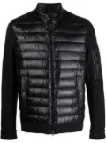 Herno padded-panel zipped jacket - Black