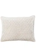 Anke Drechsel embroidered silk-velvet cushion - White