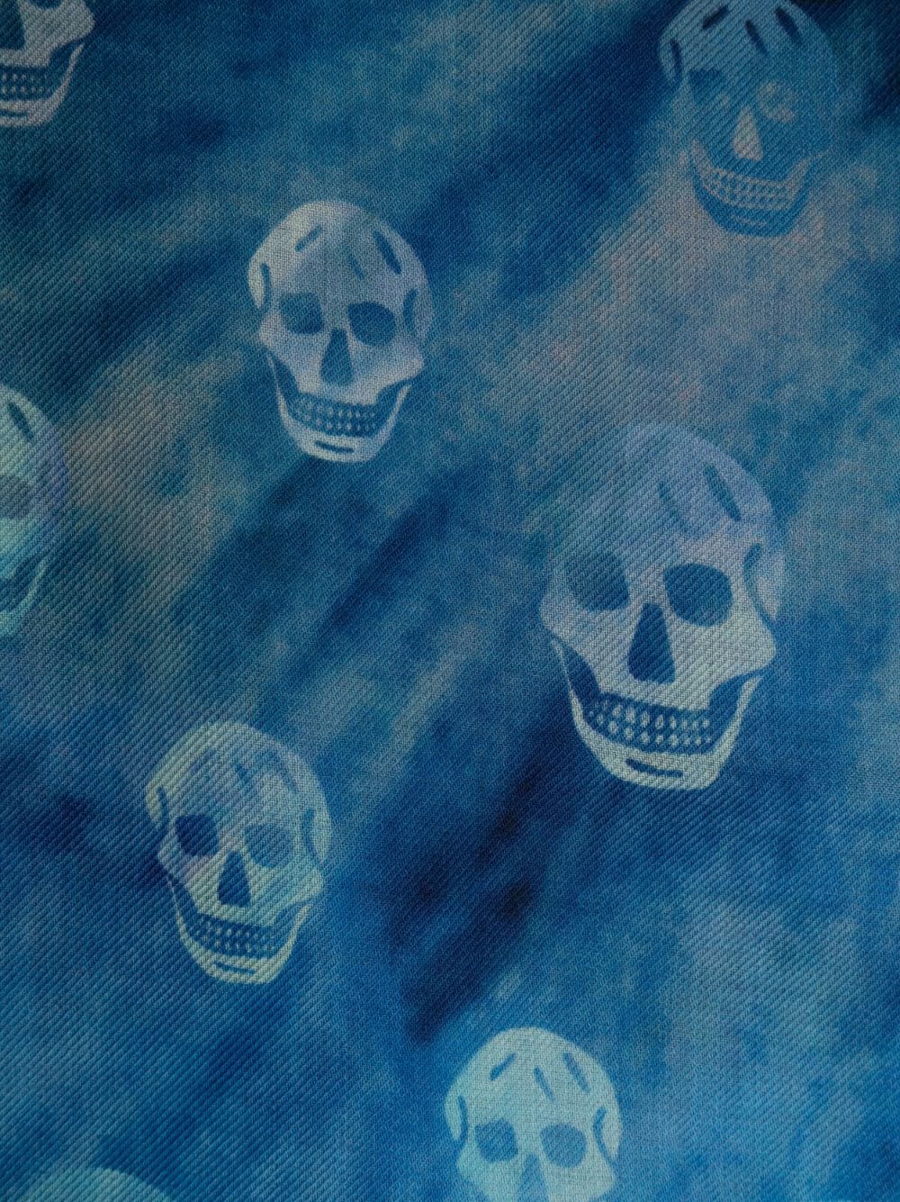 Shop Alexander Mcqueen Skull-print Wool Scarf In Blue