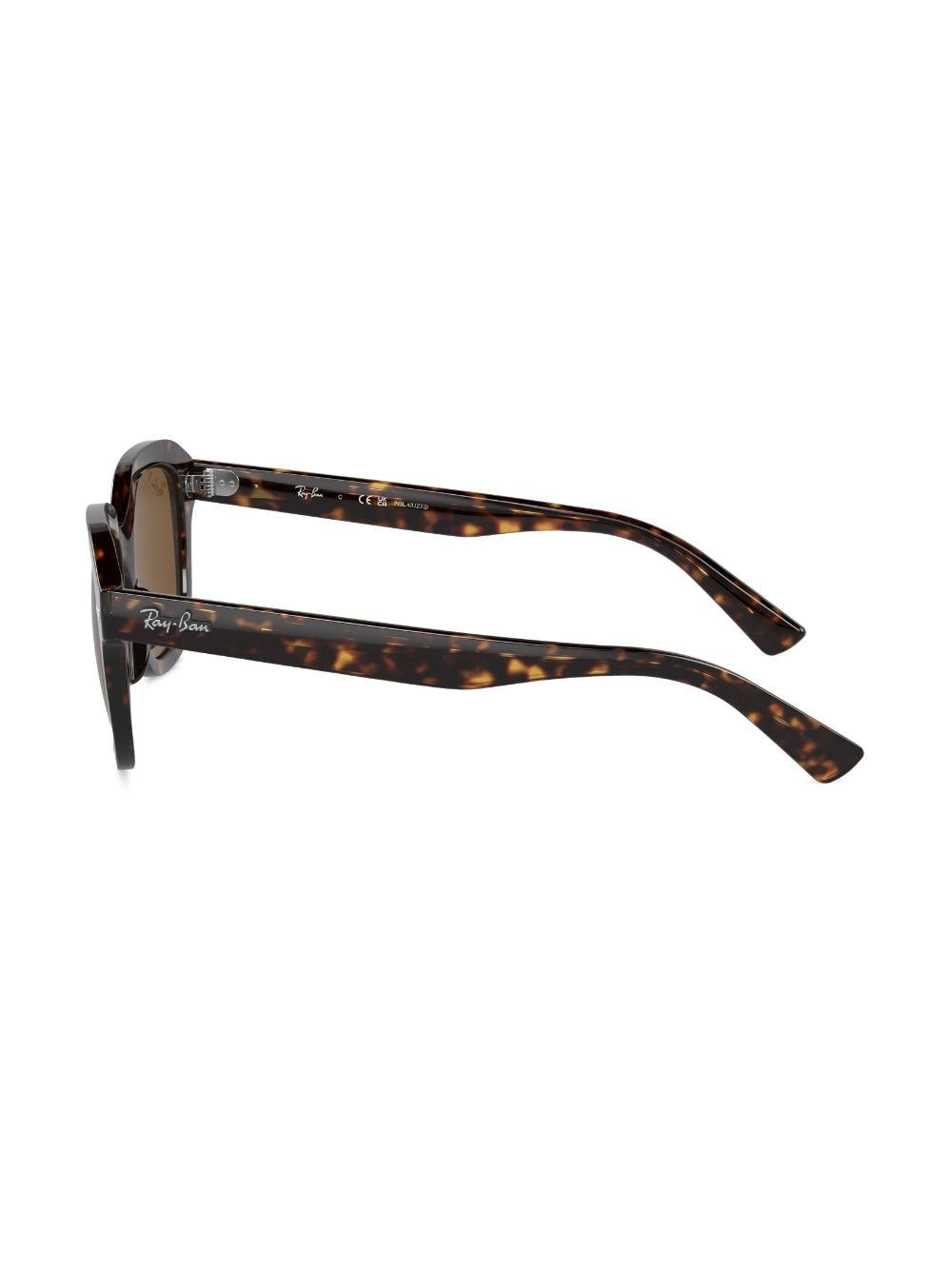 Shop Ray Ban Erik Round-frame Sunglasses In Braun