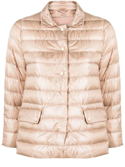 Herno button-fastening padded jacket