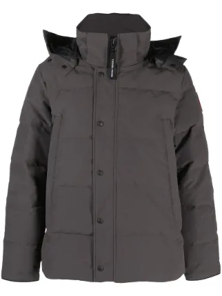 Canada Goose