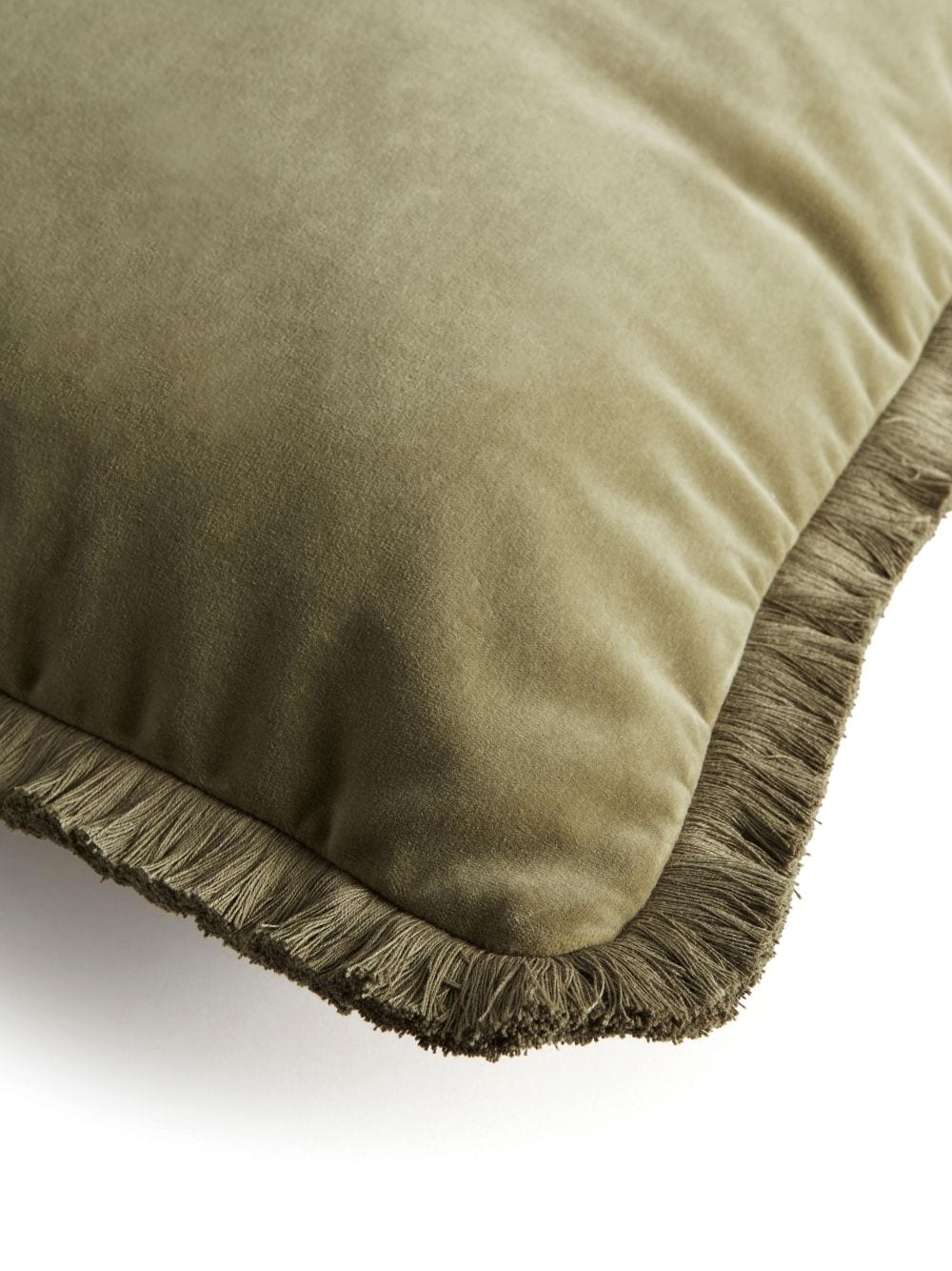 Shop Soho Home 65x65cm Square Cotton Cushion In Green