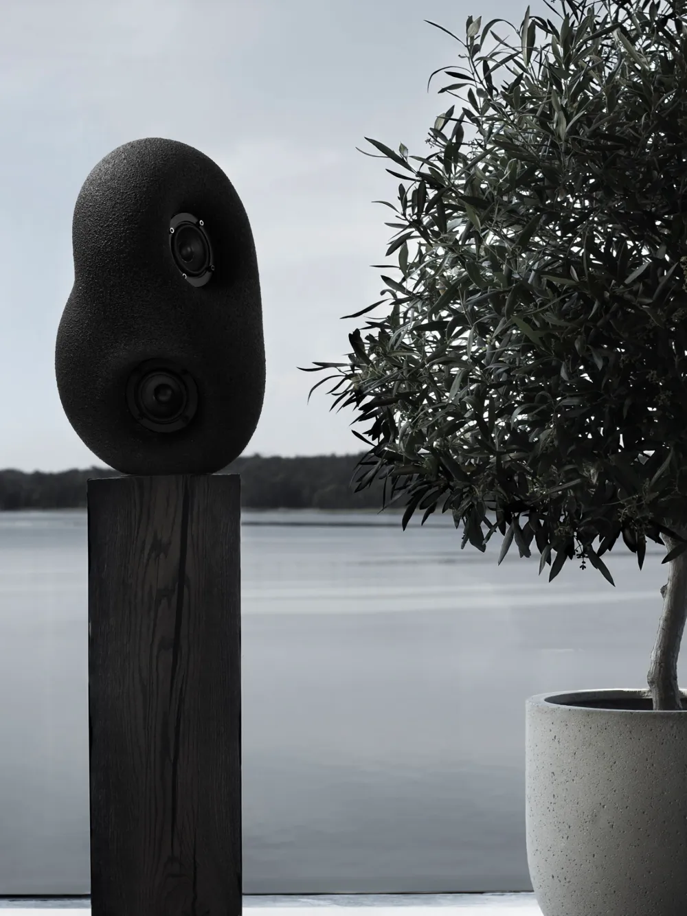 Transparent Acoustic Sculpture Speaker In Black
