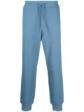 Y-3 organic-cotton track pants - Blue