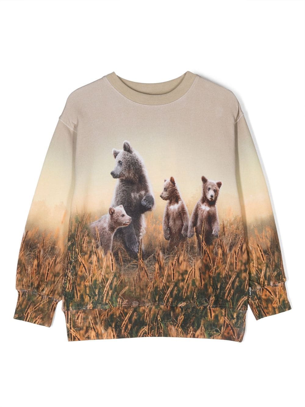 Molo Kids' Mattis Bear-print Sweatshirt In Neutrals