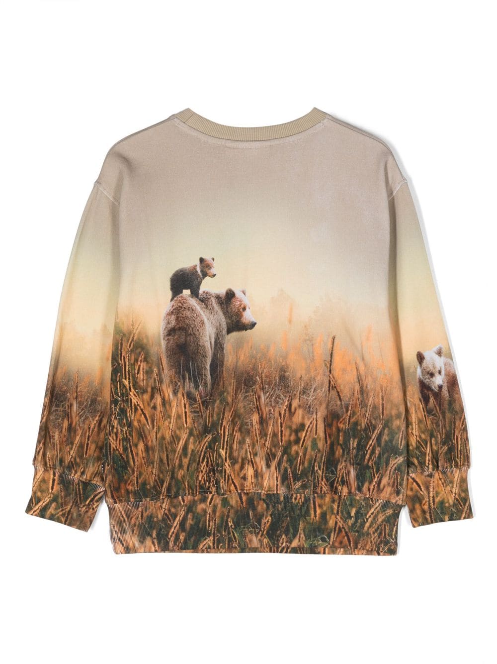 Shop Molo Mattis Bear-print Sweatshirt In Neutrals