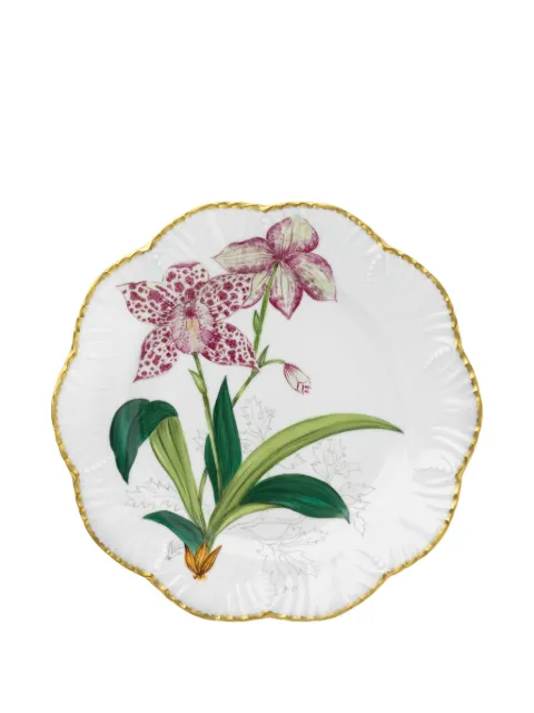 Pinto Paris Histoires D'orchidees dinner plate (26cm)