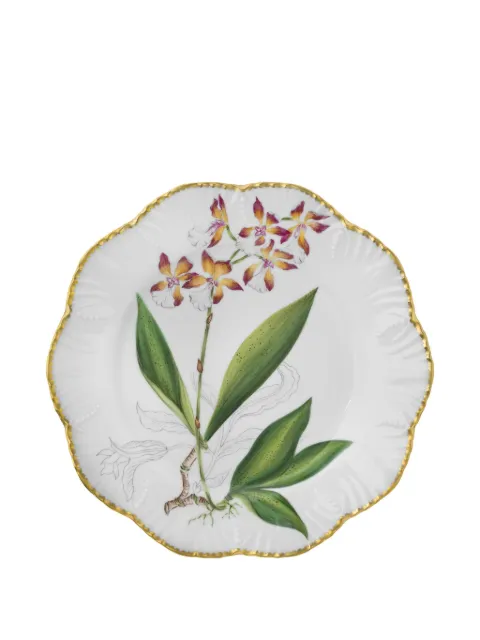 Pinto Paris Histoires D'orchidees dinner plate (26cm)