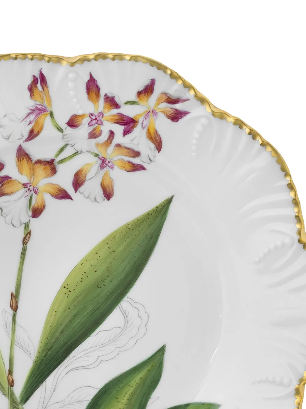 Pinto Paris Histoires D'orchidees dinner plate (26cm) | Tableware | Image 2