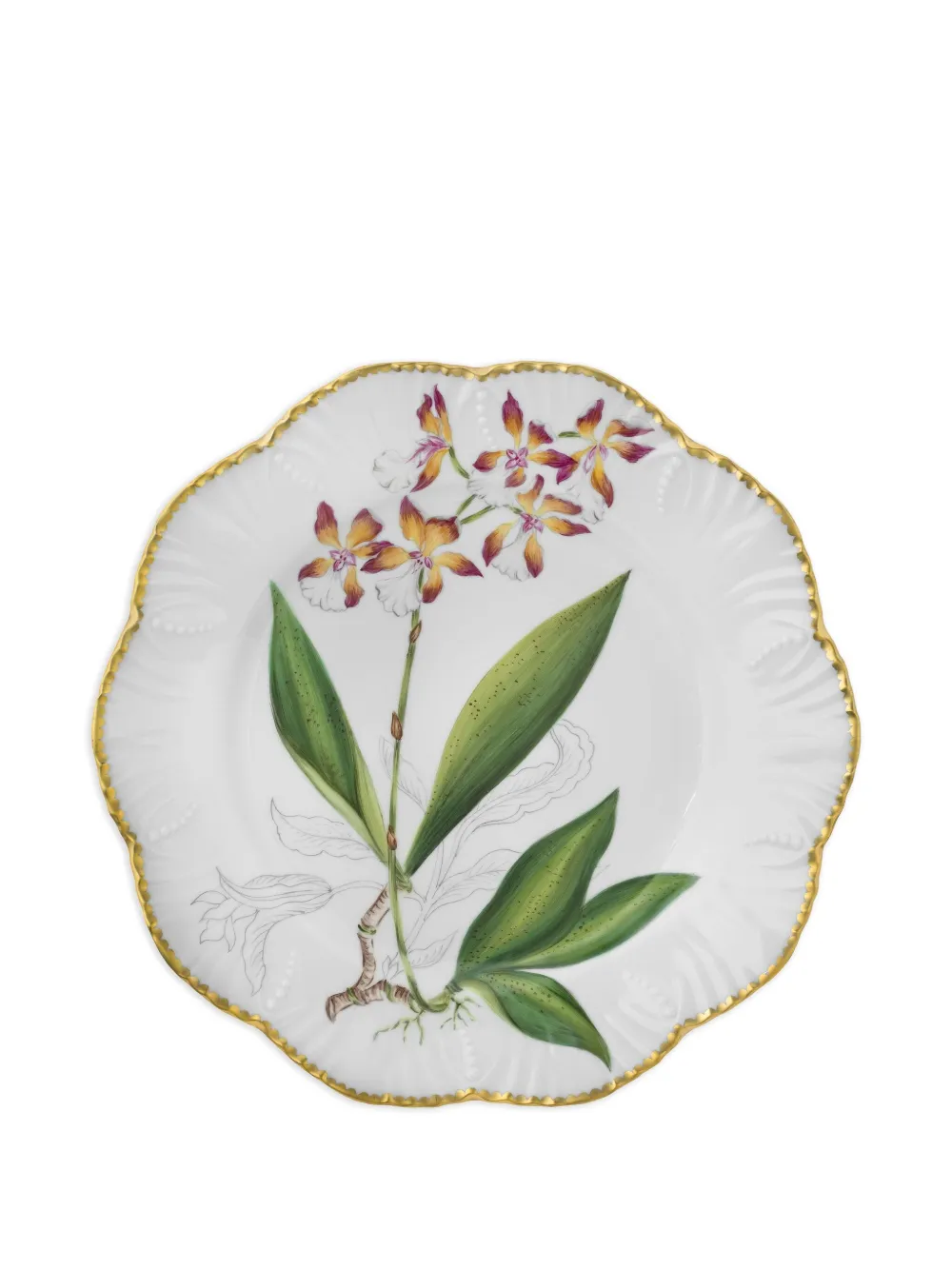 Pinto Paris Histoires D'orchidees dinner plate (26cm) | White | Image 1