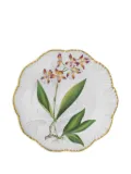 Pinto Paris Histoires D'orchidees dinner plate (26cm) - White