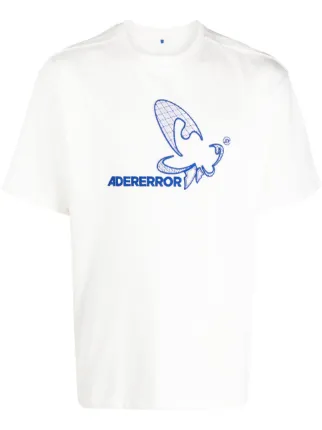 Ader Error