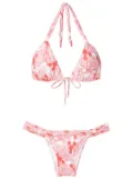 Brigitte sea life-print bikini set - Red