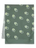 Barba graphic-print frayed scarf - Green