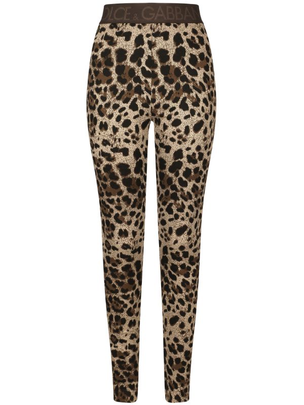 Dolce & Gabbana logo-waistband leopard-print Leggings - Farfetch