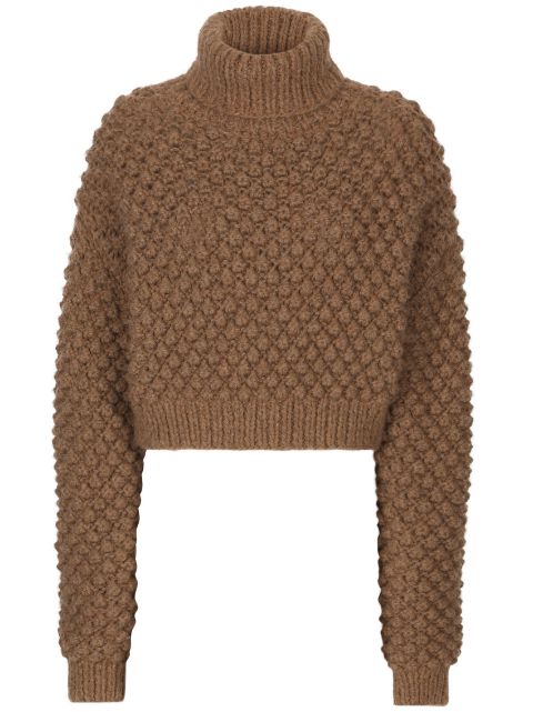 Dolce & Gabbana roll-neck cropped jumper Women