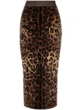 Dolce & Gabbana chenille leopard-print midi skirt - Brown