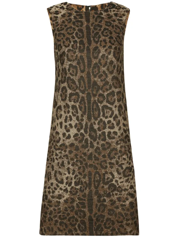 Dolce & Gabbana レオパード ドレス | ブラウン | FARFETCH JP