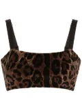 Dolce & Gabbana leopard-print sleeveless crop top - Brown