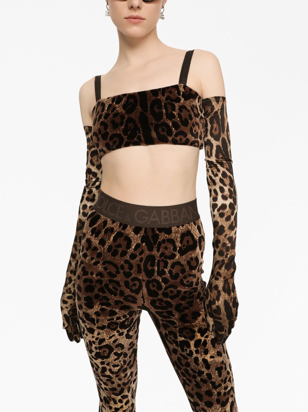 Shop Dolce & Gabbana Leopard-print Sleeveless Crop Top In Brown