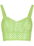 Dolce & Gabbana crochet-knit bralette top - Green