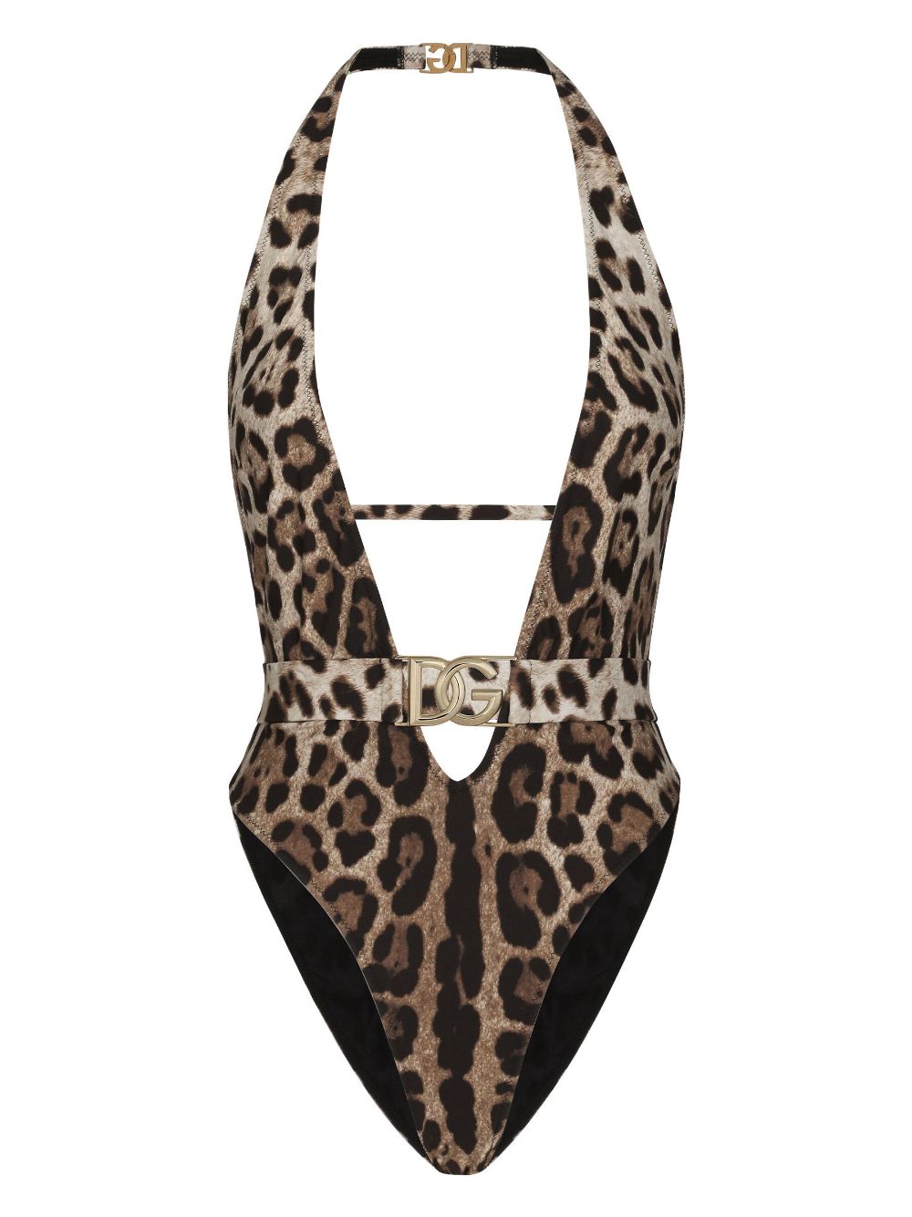 Shop Dolce & Gabbana Leopard-print Logo-lettering Swimsuit In Brown