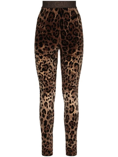 Dolce & Gabbana leggins con estampado de leopardo