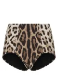 Dolce & Gabbana leopard-print high-waisted bikini bottom - Brown