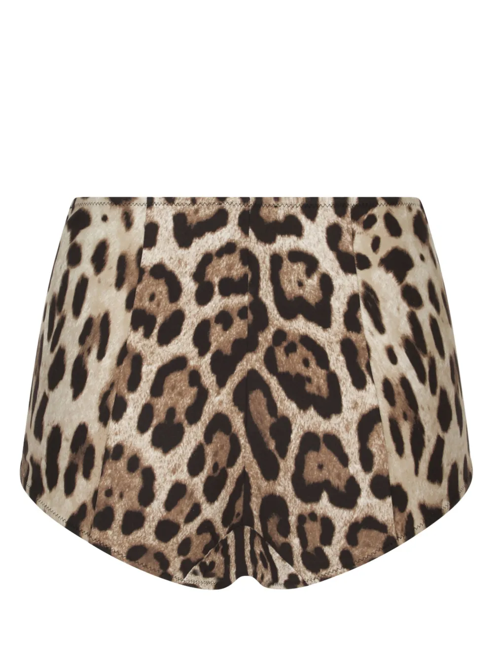 Dolce & Gabbana leopard-print high-waisted bikini bottom - Bruin