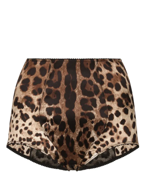 【送料&関税込】Dolce & Gabbana Animal Print Briefs Dolce & Gabbana leopard-print high-waisted Briefs | Brown