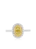 HYT Jewelry 18kt white and yellow gold diamond ring - Silver