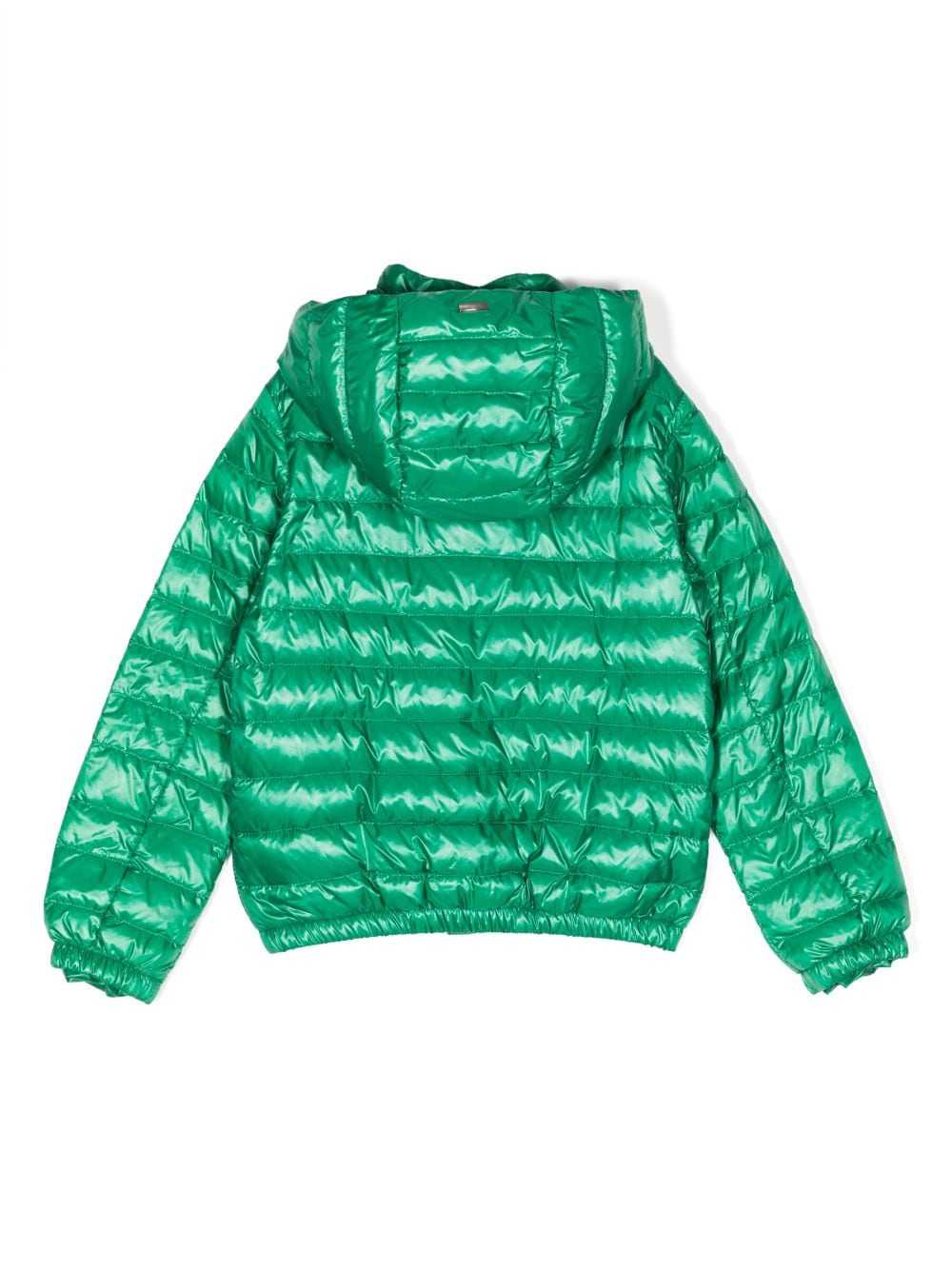 Shop Herno Hooded Zip-up Padded Jacket In Green
