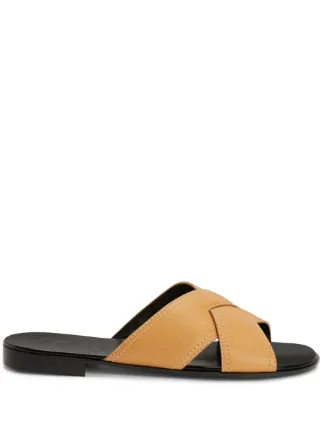 Giuseppe Zanotti