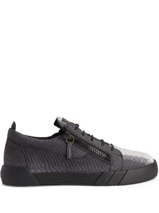 Giuseppe Zanotti