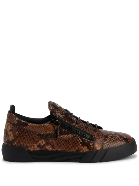 Giuseppe Zanotti tenis Frankie