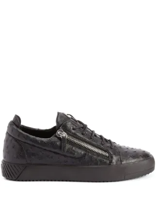 Giuseppe Zanotti